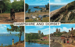 ROYAUME UNI - Hamsphire And Dorset - Colorisé - Carte Postale - Altri & Non Classificati