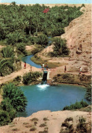 TUNISIES - Gabes - Chenini - Vue Sur Un Petit Lac - Colorisé - Carte Postale - Túnez