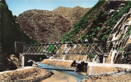 ALGERIE - Blida - Gorges De La Chiffa - Le Pont Du Chemin De Fer - Colorisé - Carte Postale - Blida