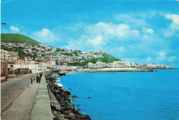 ALGERIE - Alger - Bab El Oued - Vue Générale De La Ville - Colorisé - Carte Postale - Alger