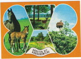 Groeten Uit Hoogersmilde - (Drenthe, Nederland/Holland) - Paard Met Veulen, Ooievaar Op Nest, Hert - Smilde