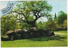 Groeten Uit Hoogersmilde - (Drenthe, Nederland/Holland) - Hunebed / Dolmen - Smilde