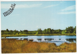 Groeten Uit Hoogersmilde - (Drenthe, Nederland/Holland) - Rietkraag, Meertje - Smilde