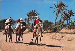 TUNISIE - Midoun - Un Voyage à Cheval Dans Le Désert - Colorisé - Carte Postale - Tunisie
