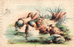 ANIMAUX & FAUNE - OISEAUX - Trois Oiseaux Qui Baignent Dans L'eau - Carte Postale Ancienne - Birds