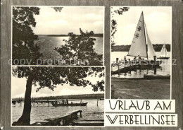 72425355 Werbellinsee-Altenhof Partien Am See Werbellinsee-Altenhof - Finowfurt