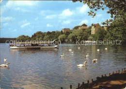 72423992 Strausberg Brandenburg Stausee Schwaene Strausberg - Strausberg