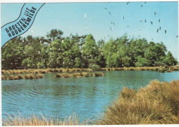 Groeten Uit Hoogersmilde - (Drenthe, Nederland/Holland) - Zwerm Vogels Boven Bosmeertje - Smilde