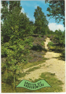 Groeten Uit Hoogersmilde - (Drenthe, Nederland/Holland) - Kronkelpad, Bomen , Hei - Smilde