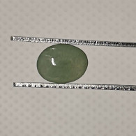 Jadéite Cabochon Birmanie: 1.41 Carat | Ovale, Poli | Vert Semi-translucide - Jade