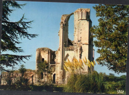 85 - Maillezais - Abbaye Saint-Pierre - Maillezais