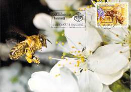 LUXEMBOURG  CARTE  MAXIMUM  NUM-YVERT  1099 APICULTURE ABEILLE RUCHE - Cartoline Maximum