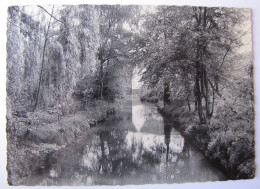 BELGIQUE - LIEGE - BASSENGE - GLONS - Vue Du Geer - Bassenge