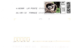 731 - France  Lettre Verte  Raton Laveur - 2010-... Vignettes Illustrées