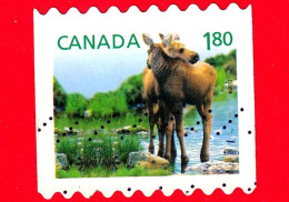 CANADA - Usato - 2012 - Cuccioli Della Fauna Selvatica - Alce - Moose - 1,80 $ - Gebruikt