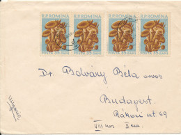 Romania Cover Sent To Hungary Arad 5-10-1958 - Briefe U. Dokumente