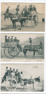 "Lot De 2 Cartes Postales Anciennes Italie Palermo,  Carro Siciliano, Dos Non-divisé - Collezioni E Lotti