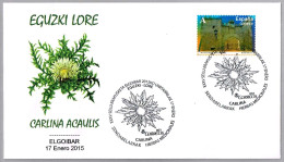 Hierbas Medicinales - EGUSKI LORE - CARLINA ACAULIS. Elgoibar, Guipuzcoa, 2015 - Plantas Medicinales