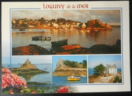 307 Carte Postale Le Port De Loguivy De La Mer Ploubazlanec Côtes D'Armor 22 - Ploubazlanec