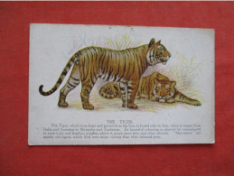 The Tiger.   Pin Hole Top      Ref 6327 - Tigers