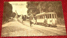 BONSECOURS  -  Route De Condé Vers La Basilique - Péruwelz