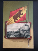 SUISSE CHATEAU DE PORRENTRUY DRAPEAU - 10471 - Porrentruy