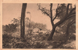 FRANCE - Les Landes De Gascogne - Une Ferme Dans Les Landes  -  Carte Postale Ancienne - Autres & Non Classés