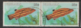 Bahamas 1986  SG 762a  Basslet   Fine Used Air - Bahamas (1973-...)