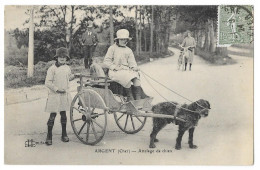 Cpa: 18 ARGENT SUR SAULDRE (ar. Bourges) Attelage De Chien (Voiture à Chien)  1924   Ed. LL Orléans - Argent-sur-Sauldre