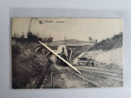 RENAIX - Le Tunnel, Train En Passage - Renaix - Ronse