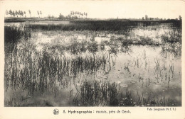 BELGIQUE - Les Paysages Belges - La Campine - Hydrographie - Marais Près De Genck - Nels - Carte Postale Ancienne - Genk