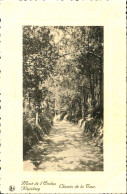 Belgique - Hainaut - Mont De L'Enclus - Chemin De La Tour - Mont-de-l'Enclus