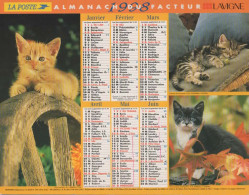 CALENDRIER ANNEE 1998, COMPLET, CHATONS, CHIOTS COULEUR  REF 14382 - Tamaño Grande : 1991-00