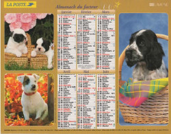 CALENDRIER ANNEE 2003, COMPLET, CHIOTS, CHATONS COULEUR  REF 14387 - Big : 2001-...
