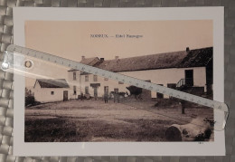 Noiseux (Belgique) - Reproduction Photo A4 Plastifiée - Collection D'expositions - Hôtel Nassogne Calèche 1911 - Lieux