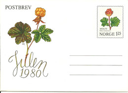 Norway 1980 Stationary Post Letter With 125 øre Cloadberry (Rubus Chamaemorus) (Molte) , Mint - Cartas & Documentos