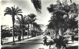 Espagne - Carte Postale - Almeria - Promenade Du Port - Almería