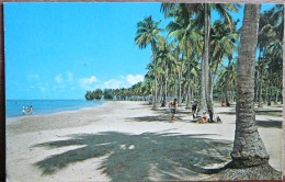 BEAUTIFUL LUQUILLO BEACH  IN THE CARRIBEAN AREA - Puerto Rico