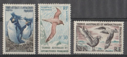 Timbres Terres Australes Et Antarctiques Françaises 2 , 12 , 13 - Sonstige & Ohne Zuordnung