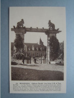 BEAURAING - Château Féodal - Les Lions O.B. Et Tour Du Fou - Beauraing