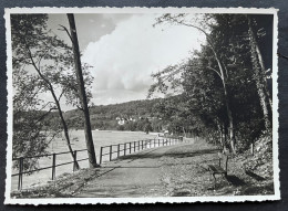 Ort Evt Am Rhein/ Foto J. Bauer Waldshut I. B. - Waldshut-Tiengen