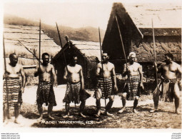 612Bc  Photo Nouvelle Zelande Maori Warriors - Nouvelle-Zélande