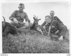 65Cu  Suisse Photo Guerre 14/18 Alpe Di Gesero Les Militaires Et Les Chevres En Aout 1915 - Autres & Non Classés