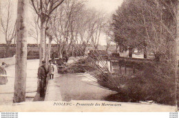 710Ax   84 Piolenc Promenade Des Marronniers - Piolenc