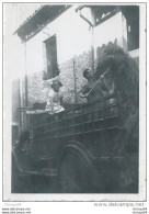 48x  Photo Dechargement D'un Camion De Foin Tacot Dans Le 04 - Camion, Tir