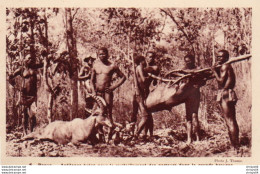 84Vn   Centrafrique Paoua Antilopes Tuées Pour Les Porteurs Chasse Chasseurs - Centrafricaine (République)