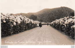 85Ct  Portugal Fayal Açores Entrada Da Praia Do Norte Carte Photo - Açores