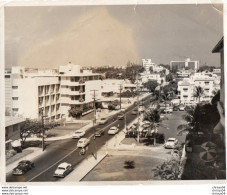 V48Pt  Grande Photo (25cm X20cm) USA Miami Floride Un Avenue De La Ville à Identifier - Miami