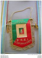 28ch/   GRAND FANION LEGION 3eme REI LES CAPORAUX CHEFS  LEGIO PATRIA NOSTRA DANS SON COFFRET - Drapeaux