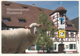 1 AK Germany / Bayern * Deutsche Hirtenmuseum In Der Stadt Hersbruck * - Hersbruck